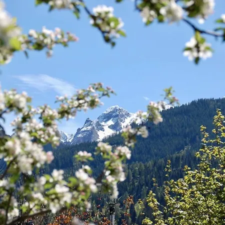 Landhaus Bergner Alm Bruck an der Grossglocknerstrasse Exterior photo