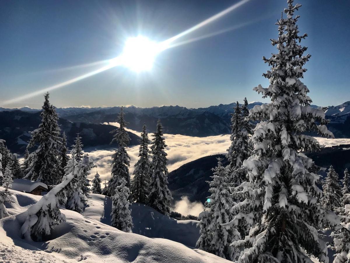 Bergner Alm *