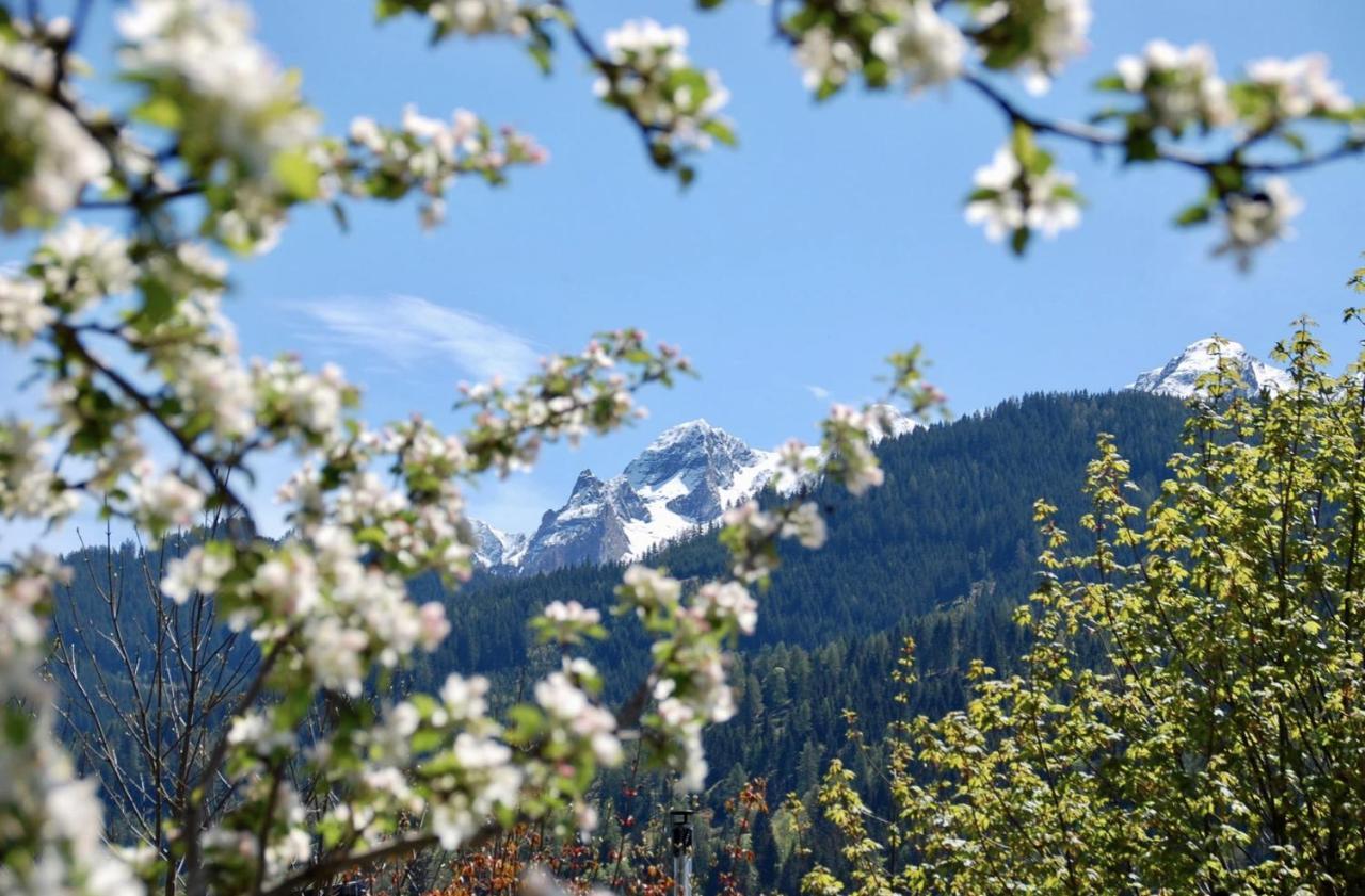 Bergner Alm Bruck an der Grossglocknerstrasse