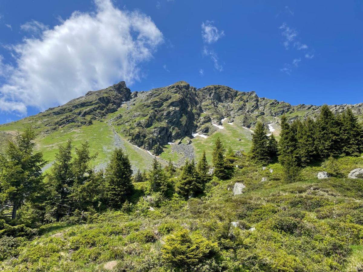 Bergner Alm * Bruck an der Grossglocknerstrasse