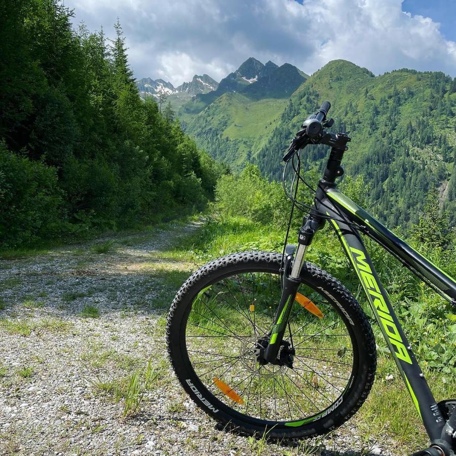 Bergner Alm Apartment Bruck an der Grossglocknerstrasse