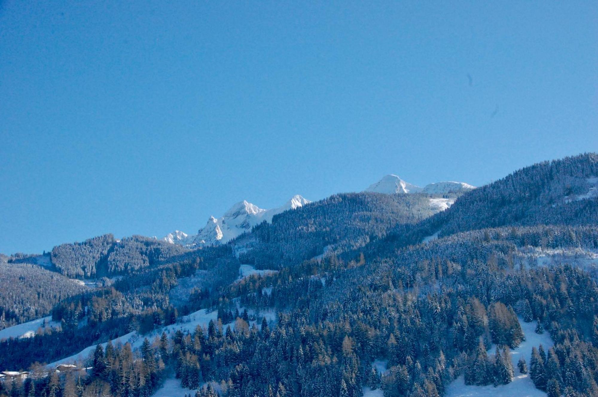 Bergner Alm Apartment Bruck an der Grossglocknerstrasse