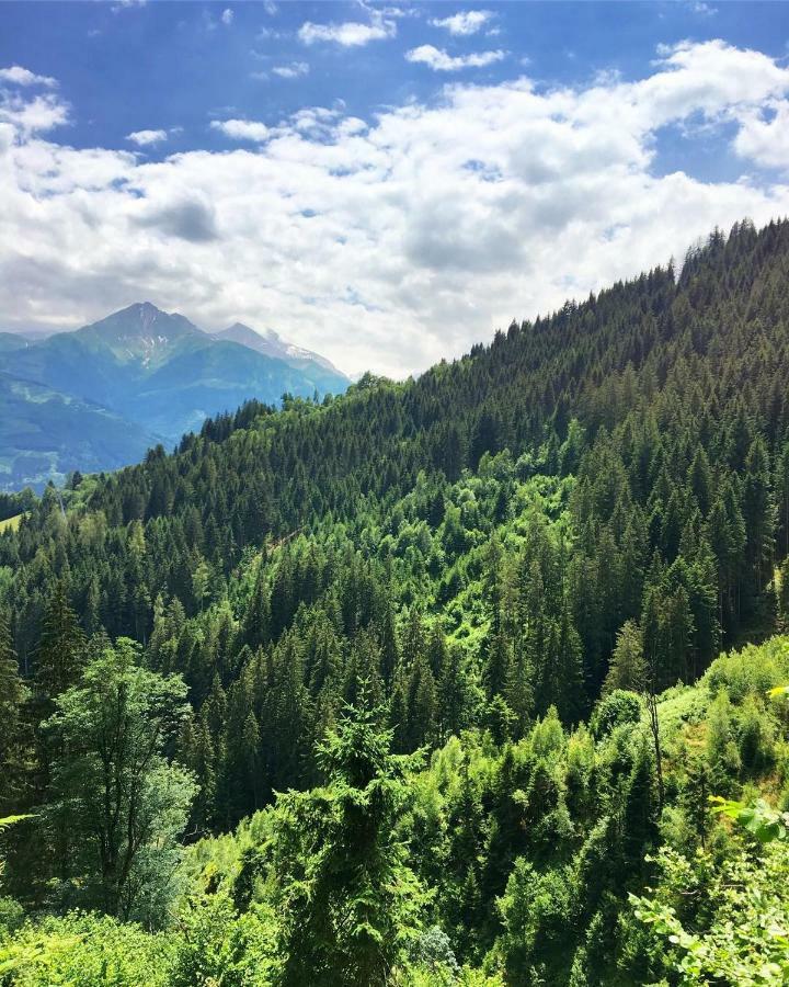 Bergner Alm Apartment Bruck an der Grossglocknerstrasse